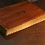 Bíblia Sagrada | NVT | Letra Gigante | Marrom - Imagem 6